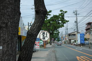 姫街道沿いの松並木