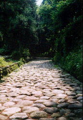 金谷宿の石畳〜復元された石畳は、昔の街道情緒を感じさせてくれました