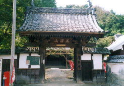 浄泉寺〜ここのソテツは歌川広重の絵に描かれたことでも有名です