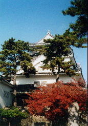 岡崎城〜雲一つ無い青い空と紅葉の赤、松の緑がお城に似合います！