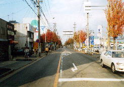 鳴海宿手前で見かけた紅葉された並木道のある街道を望む