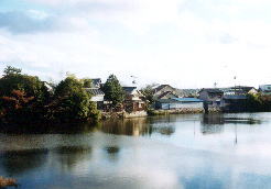 亀山城址近くに拡がっている池。水のある風景は心が和みます(^^)