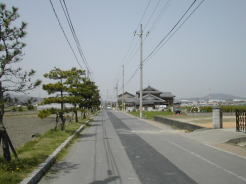 水口宿を出て、しばらく歩いたところにある松並木〜この辺りは、江戸時代は「北脇畷」と呼ばれていました