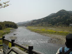 横田の渡しより野洲川を望む。写真には一人しか写っていませんが、ものすごーい人が居ました（笑）