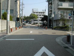 東海道との分岐点から美濃路を望む右から来て手前に続く道が東海道