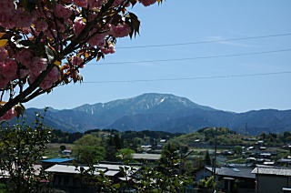 恵那山と八重桜
