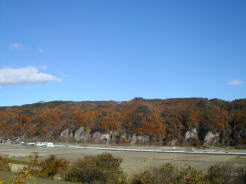 七里岩。紅葉しています。
