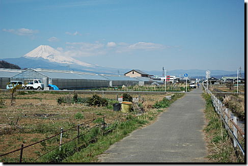 サイクリングロードから見た富士山