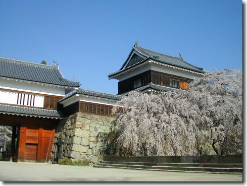 上田城櫓と桜