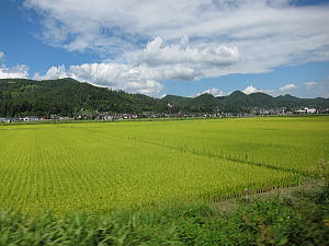 新幹線からの車窓風景